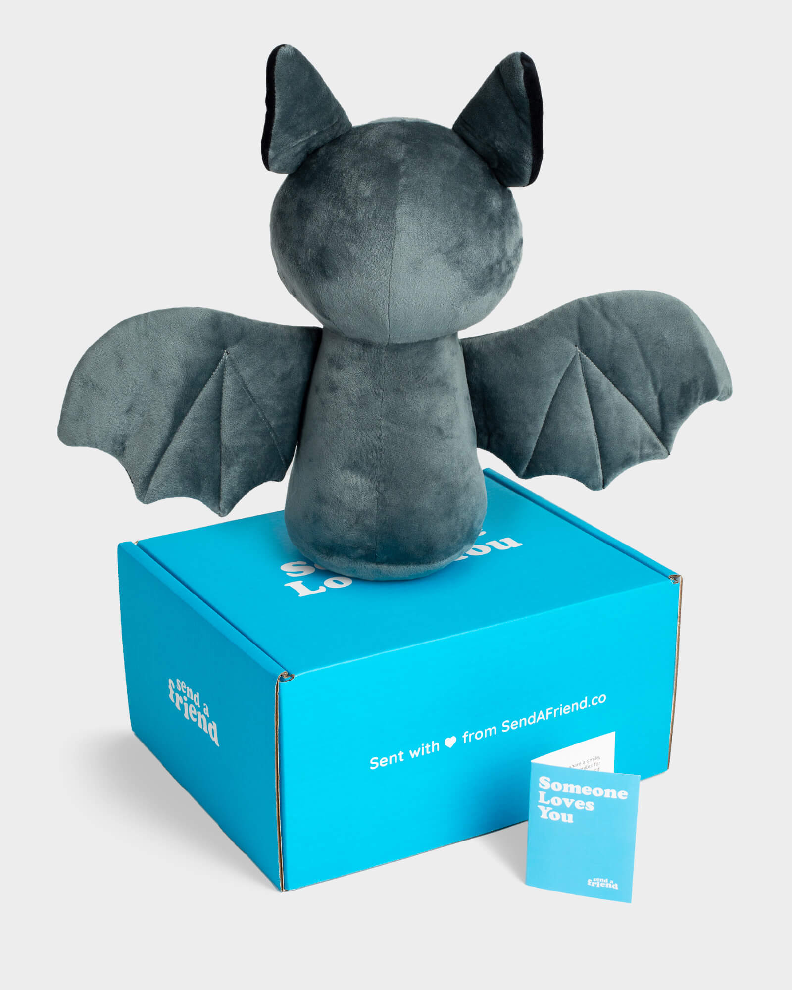 Photo of back of black Binks the Bat 14 inch plushie with Someone Loves You box and notecard