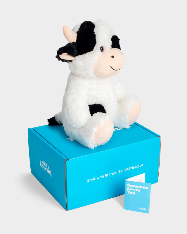 Side view photo of Jumbo 14 inch black and white Cooper the Cow plushie with Someone Loves You box and notecard