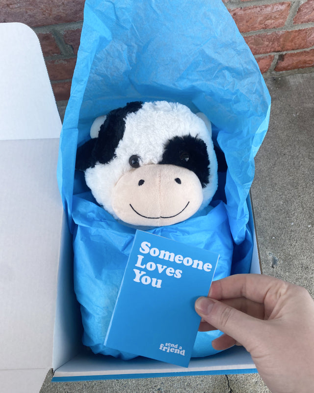 Photo of hand holding note card with 14 inch Jumbo Cooper the Cow swaddled in blue tissue paper inside of a box in the background