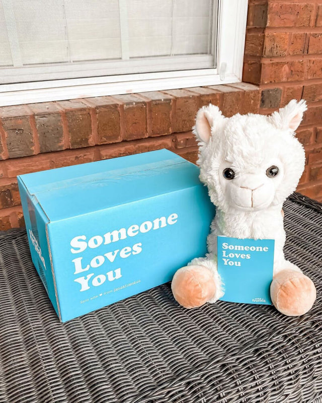 Photo of white Lawrence the Llama plushie holding a note card sitting on a wicker table and next to Someone Loves You box