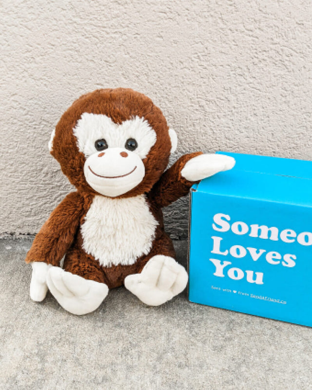 Photo of Maria the Monkey plushie sitting on concrete with hand resting on blue Someone Loves You box