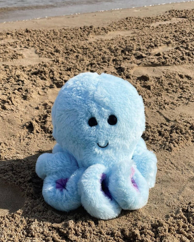 Blue Ollie the Octopus plushie sitting in the sand near water