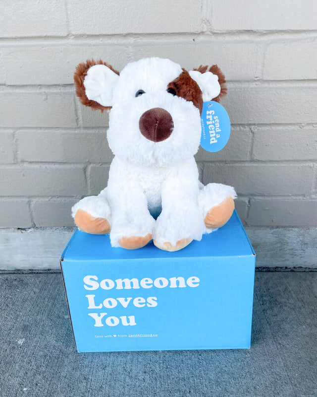 Photo of brown and white Peanut the Puppy plushie sitting on Someone Loves You box with brick wall in background