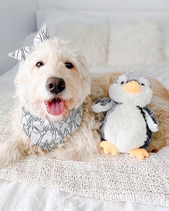 Photo of tan and white dog sitting with grey and white Pepper the Penguin plushie on a cream colored blanket