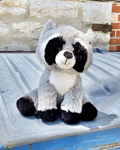 Photo of grey, black, and white Rosie the Raccoon plushie sitting on top of dumpster lid