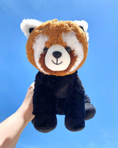 Photo of hand holding brown, black, and white Rusty the Red Panda plushie with sky in the background