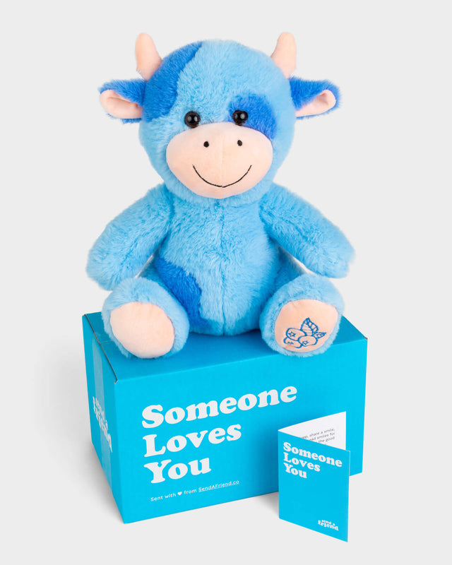 Photo of blue Beau the Blueberry Cow plushie with blueberries embroidered on left foot, Someone Loves You box, and notecard
