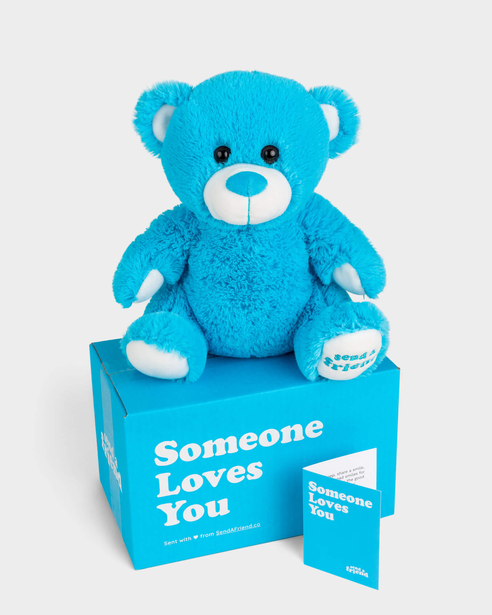 Send a Stuffed Animal Gift & Care Package | SendAFriend