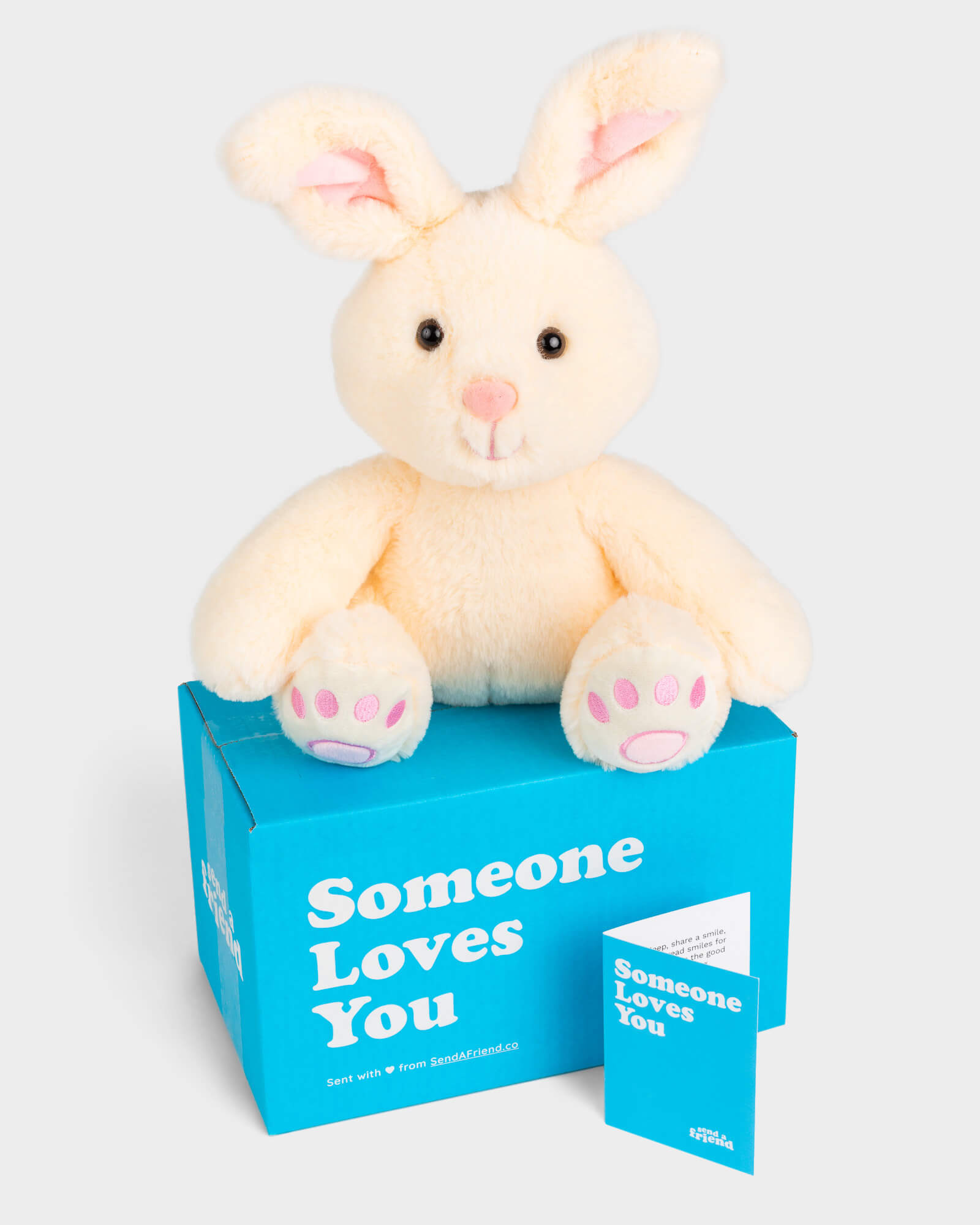 Photo of white Benny the Bunny plushie featuring pink embroidered paw prints on each foot, Someone Loves You box and notecard