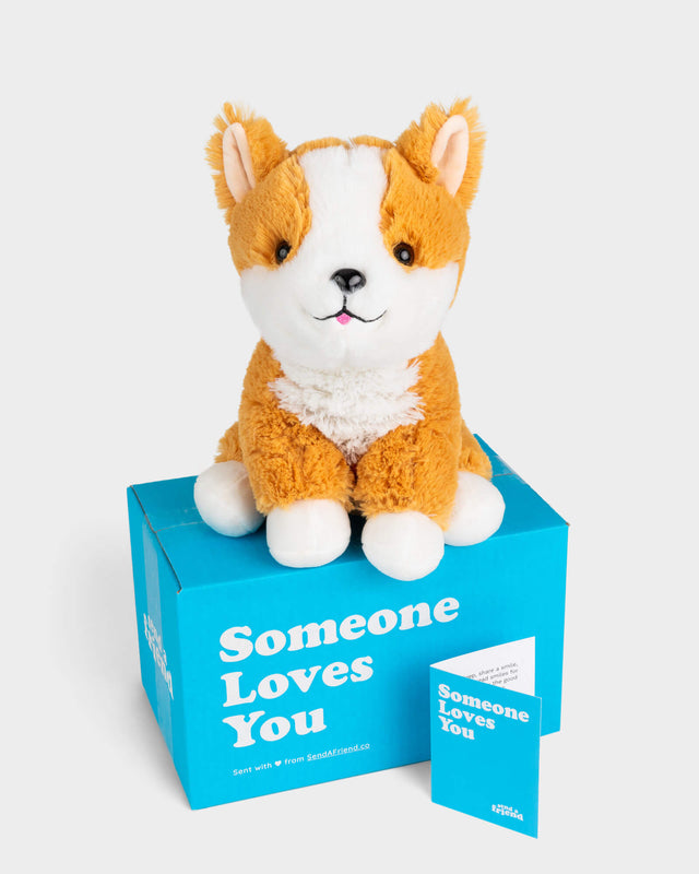 Photo of Comet the Corgi plushie with Someone Loves You box and notecard