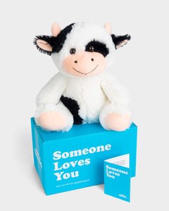 Photo of black and white Cooper the Cow plushie with Someone Loves You box and notecard