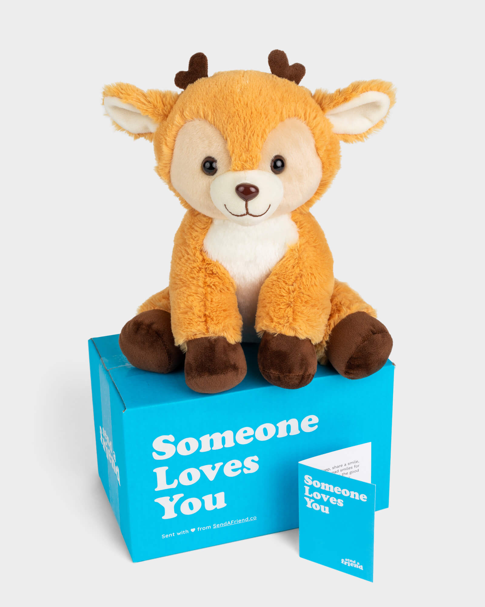 Photo of tan Daphne the Deer plushie with Someone Loves You box and notecard