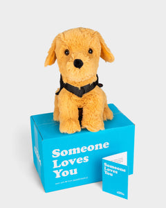 Photo of golden Dunkin the facility dog plushie with red facility vest, Someone Loves You box, and notecard