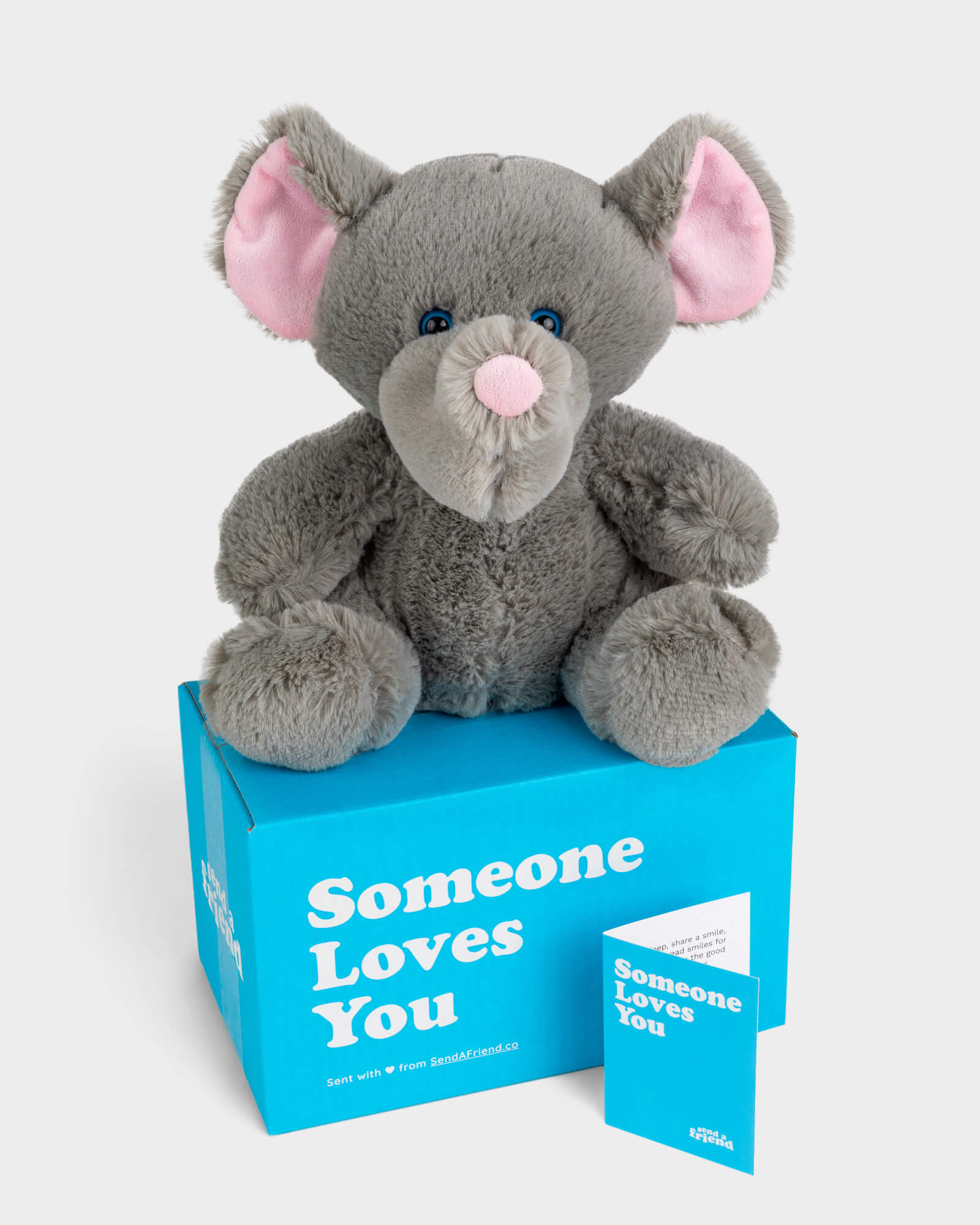 Photo of grey Eli the Elephant plushie with Someone Loves You box and notecard