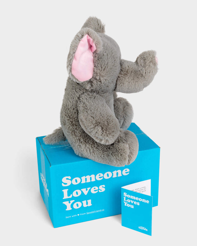 Side view photo of Eli the Elephant plushie, Someone Loves You box, and note card