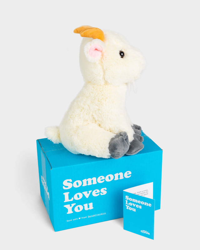 Side view photo of white Gus the Goat plushie, Someone Loves You Box, and note card