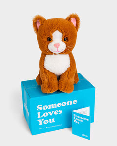 Photo of orange Kiwi the Kitten plushie with Someone Loves You box and notecard