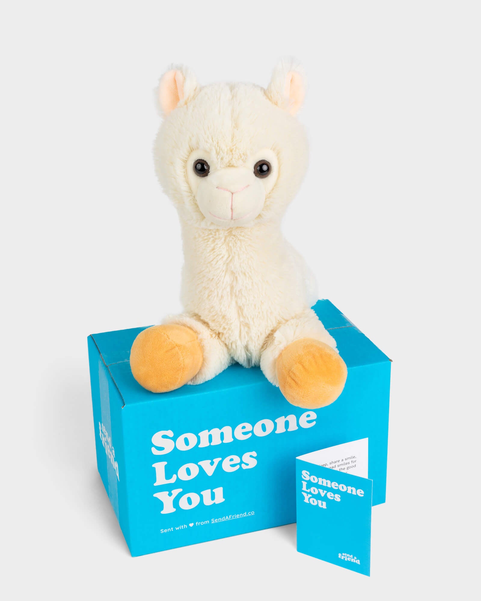 Adairs Kids - Plush Llama Keepsake Toy, Home & Gifts