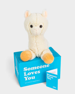 Photo of white Lawrence the Llama plushie with Someone Loves You box and notecard