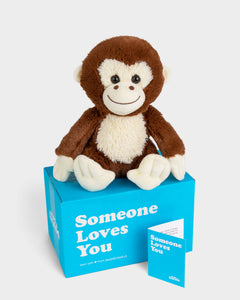 Send a Stuffed Animal Gift & Care Package | SendAFriend