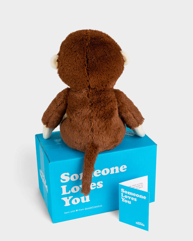 Photo of back of Maria the Monkey plushie, blue Someone Loves You box, and note card