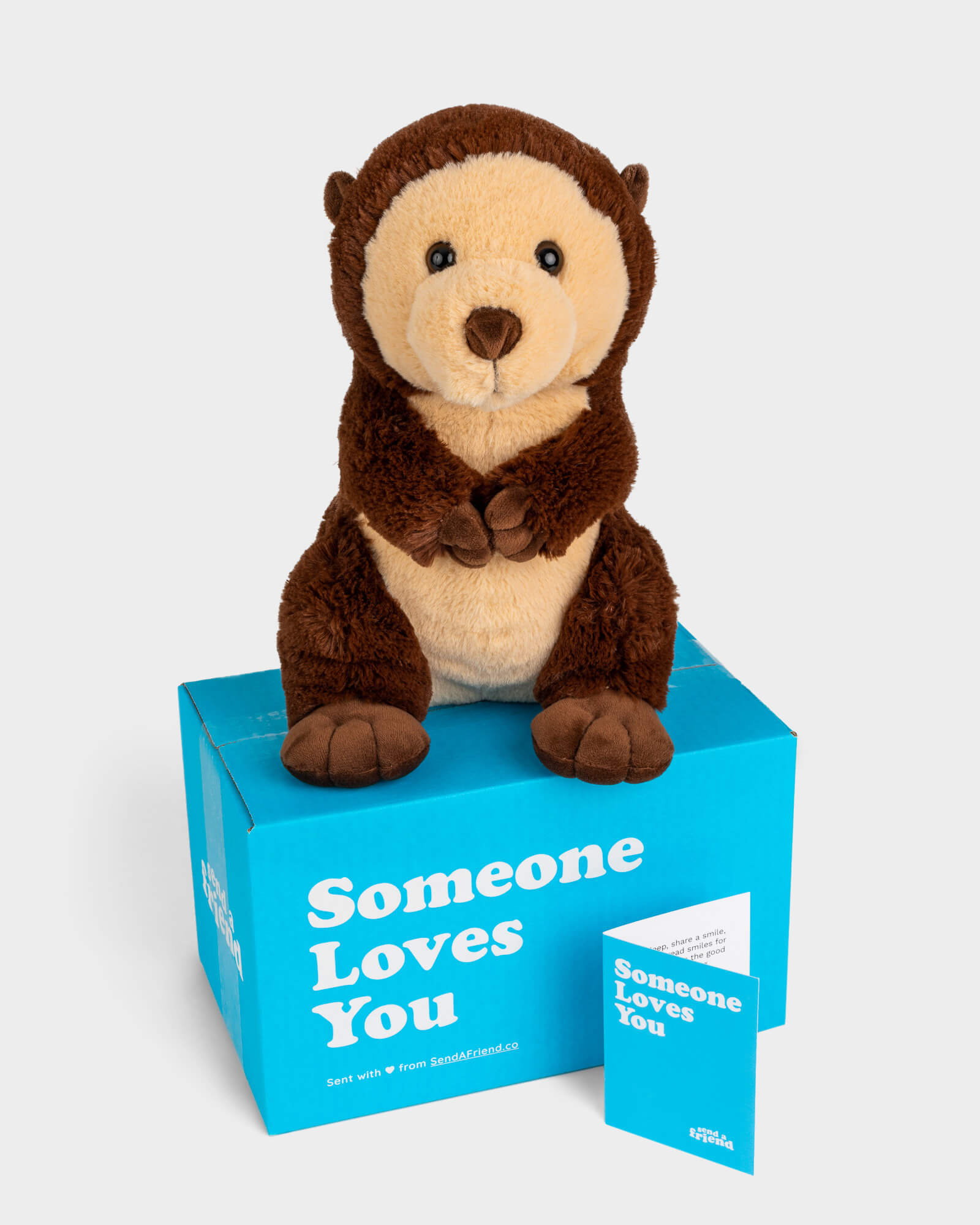 Send a Stuffed Animal Gift & Care Package