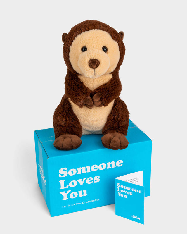 Photo of brown Oliver the Otter plushie with Someone Loves You box and notecard