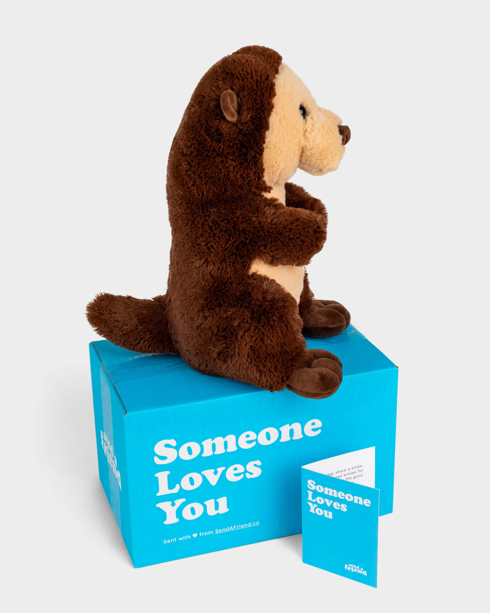 Significant Otter Care Packages Are Simply Too Cute - I Can Has