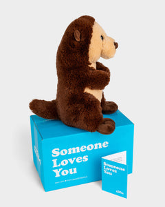 Side view photo of brown Oliver the Otter plushie, Someone Loves You box, and notecard