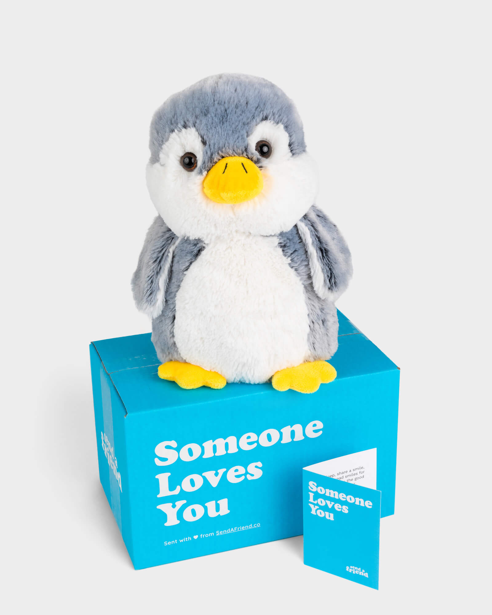 Shop All Stuffed Animal Care Packages | SendAFriend