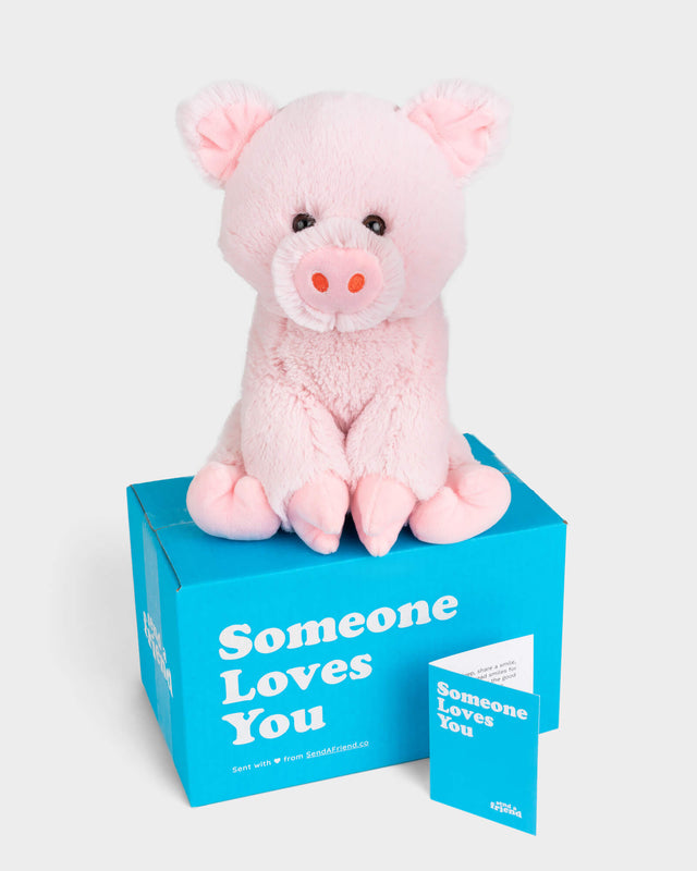 Penny the Pig Stuffed Animal Care Package