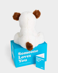 Photo of back of brown and white Peanut the Puppy plushie, Someone Loves You box, and note card