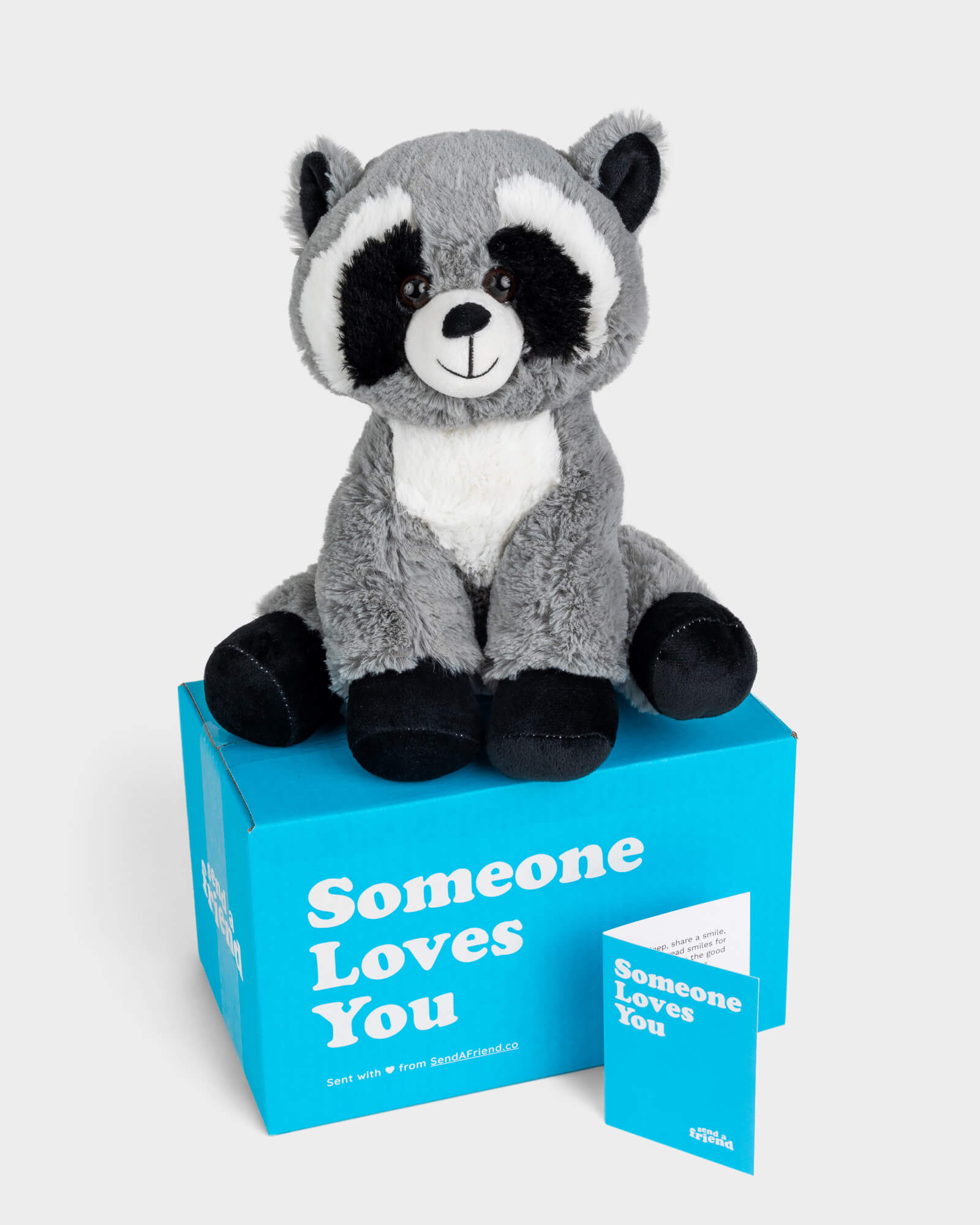 Photo of natural colored Rosie the Raccoon plushie with Someone Loves You box and notecard