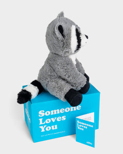 Side view photo of grey, black, and white Rosie the Raccoon, Someone Loves You box, and note card