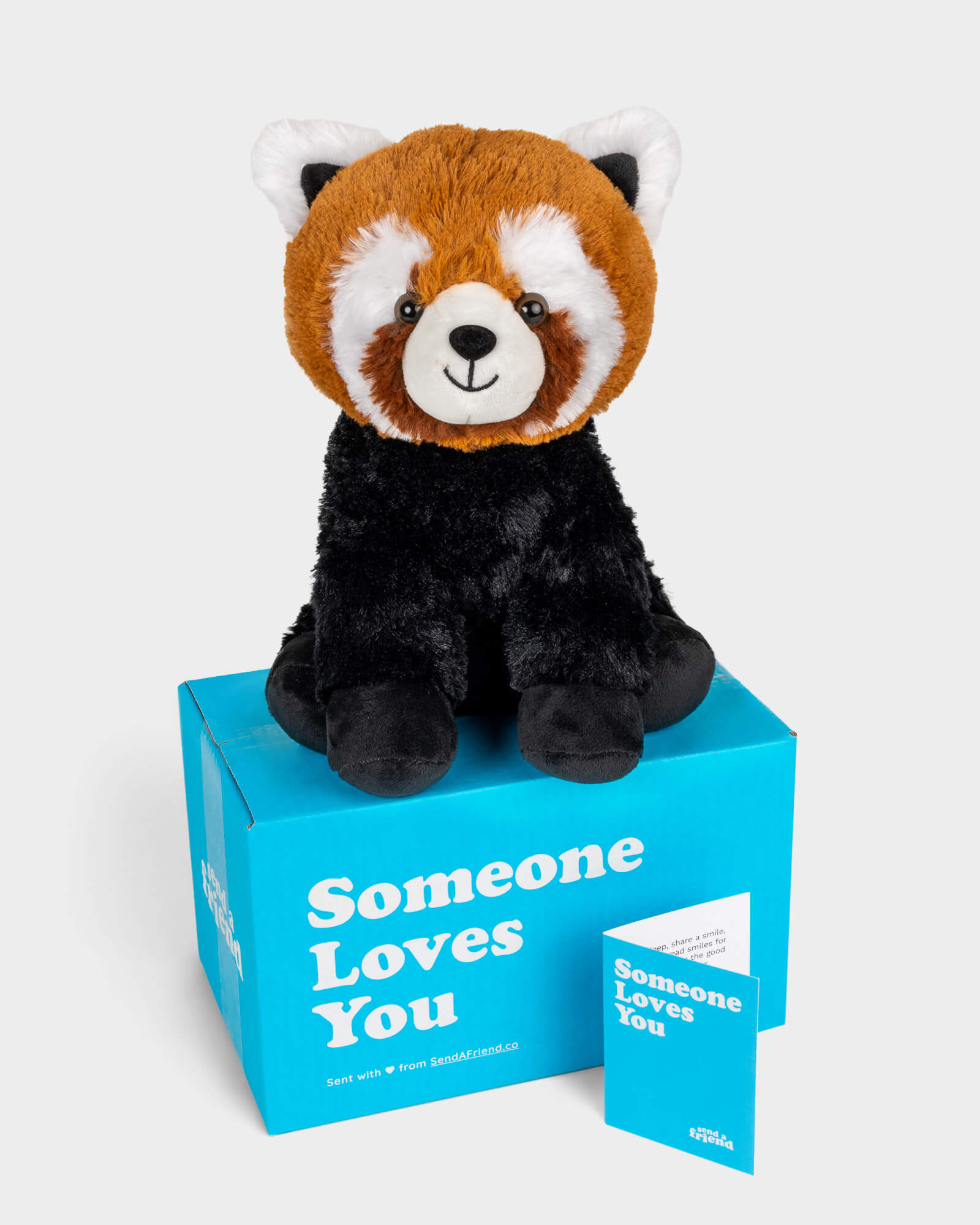 Rusty the Panda SendAFriend's Stuffed Care Packages