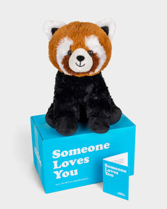 Photo of natural colored Rusty the Red Panda plushie with Someone Loves You box and notecard