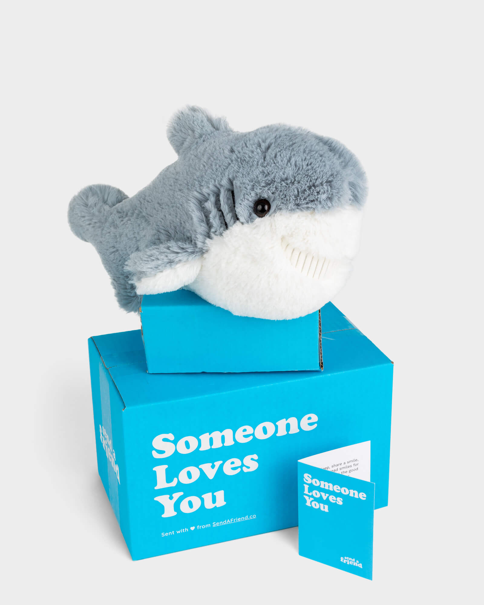 Grey shark plushie sitting on top of SendAFriend box and next to notecard both in signature blue color