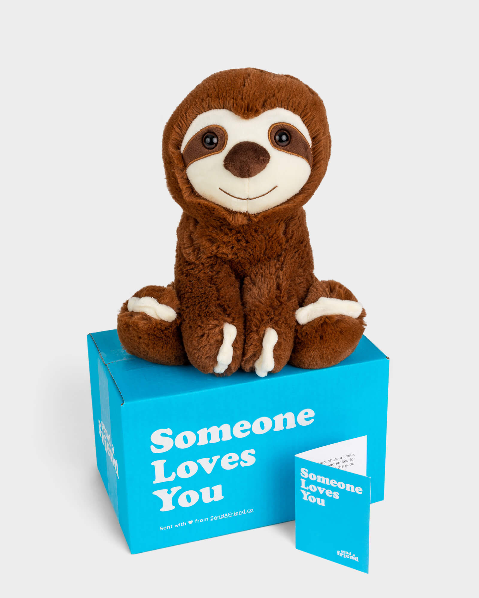 The Sloth Stuffed Animal Care Package