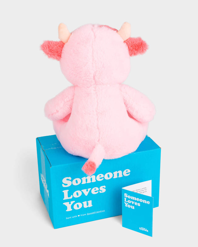 Photo of back of pink Sally the Strawberry Cow plushie, Someone Loves You box, and note card