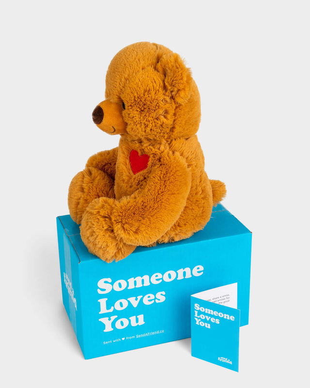Side view photo of brown Toby the Teddy Bear plushie with red embroidered heart on chest, Someone Loves You box, and note card