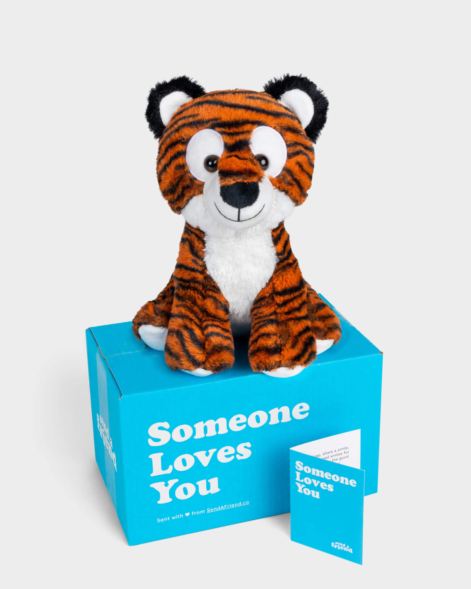 Orange and black striped tiger plushie sitting on top of SendAFriend box and next to notecard both in signature blue color