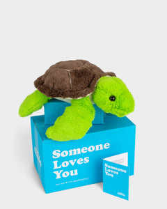 Green turtle plushie with brown shell sitting on top of SendAFriend box and next to notecard both in signature blue color