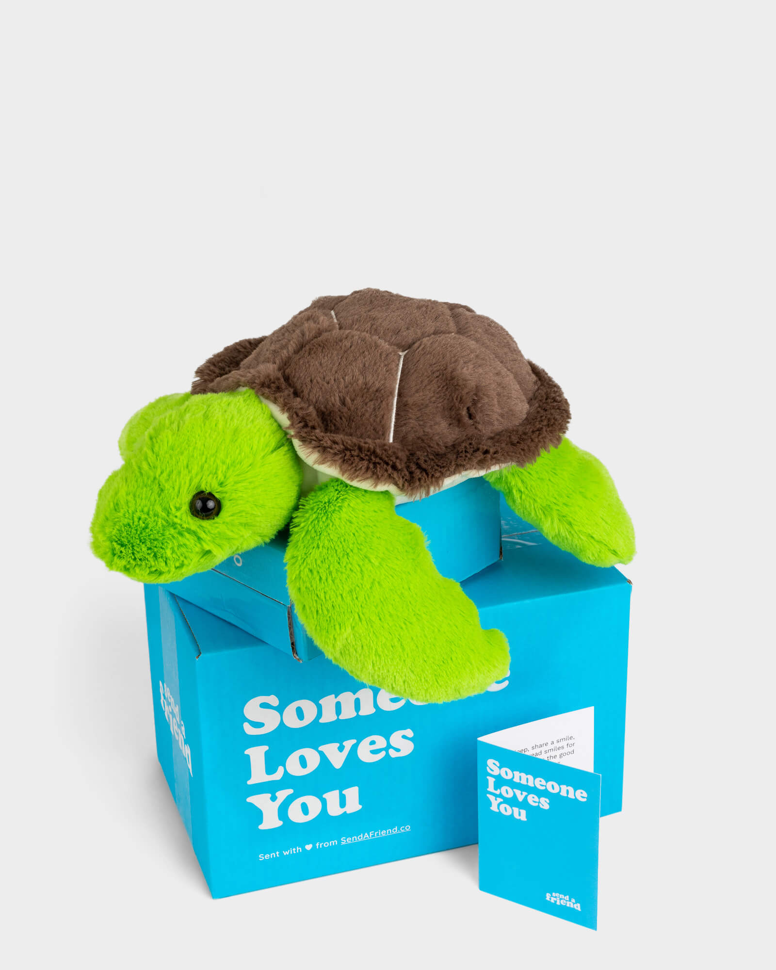 Side view photo of green Tucker the Turtle with brown shell plushie sitting on Someone Loves You box with note card in front