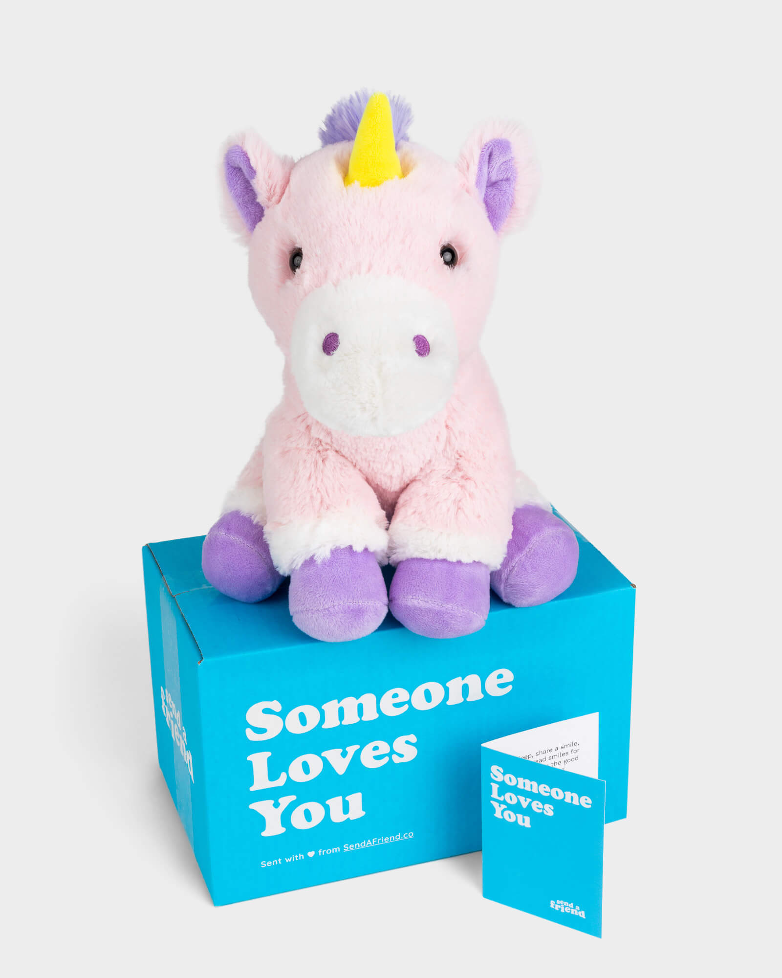 Send a Stuffed Animal Gift & Care Package | SendAFriend
