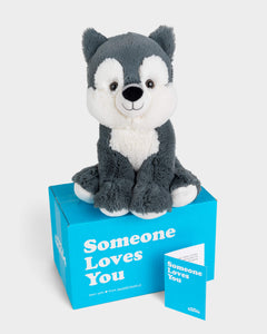 Grey and white Winston the Wolf plushie sitting on top of SendAFriend box and next to notecard both in signature blue color