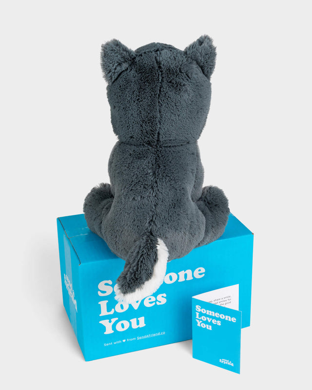 Winston the Wolf Stuffed Animal Care Package