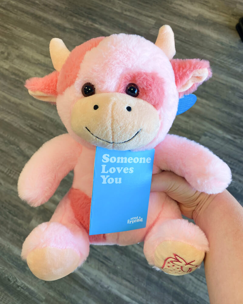 Photo of hand holding pink Sally the Strawberry Cow plushie with note card