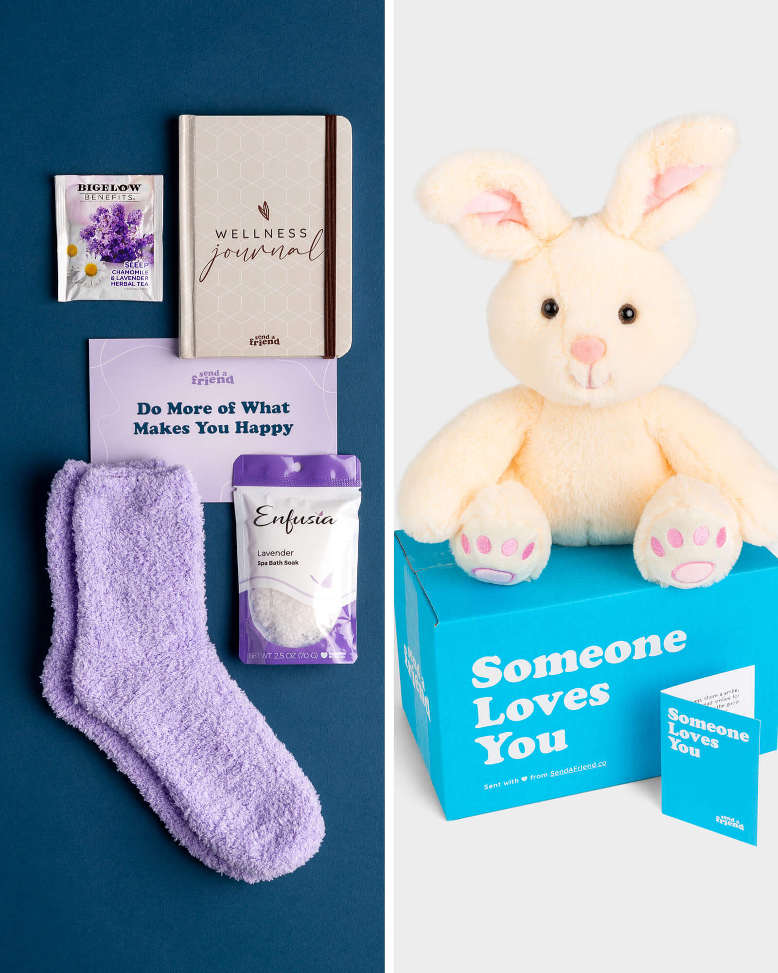 Benny the Bunny  SendAFriend's Stuffed Animal Care Packages