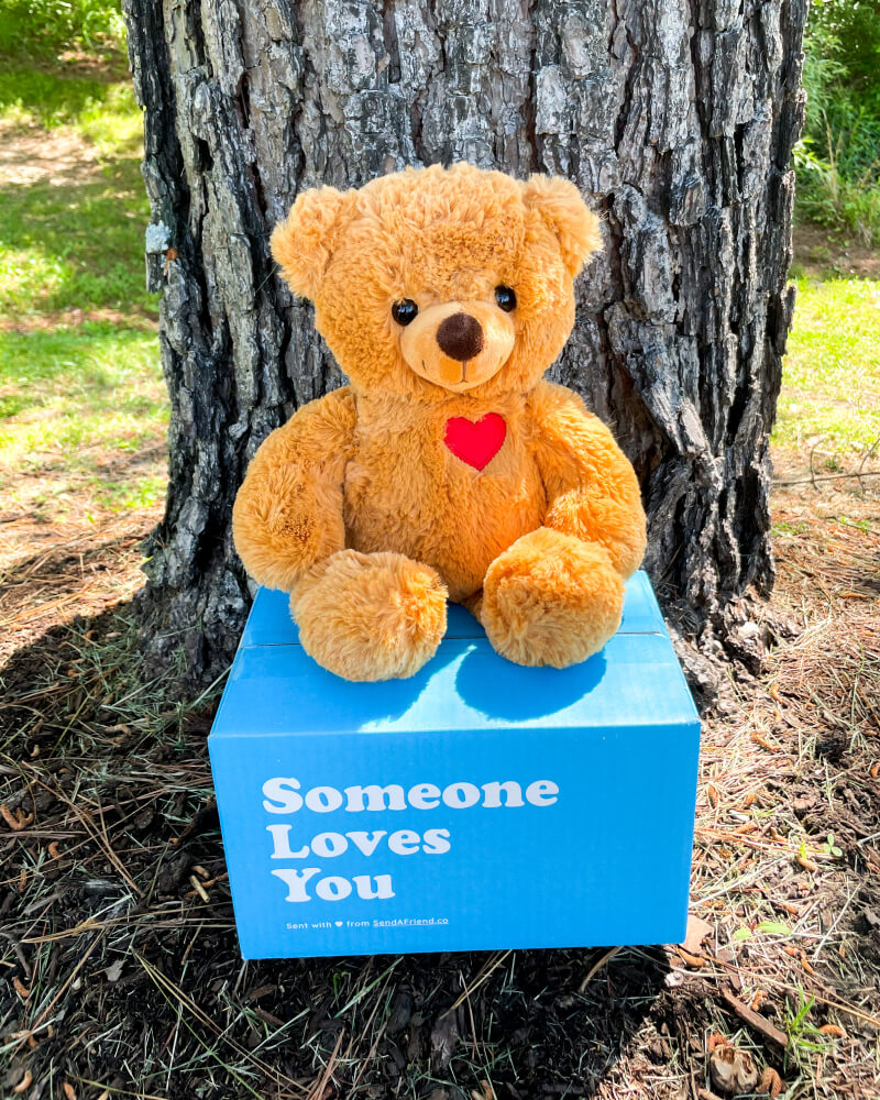 Photo of brown Toby the Teddy Bear plushie with red embroidered heart sitting on Someone Loves You box outdoors in front of a tree